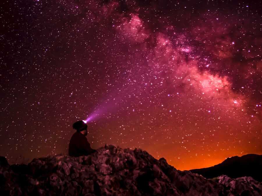 Cosmic Micros 2020