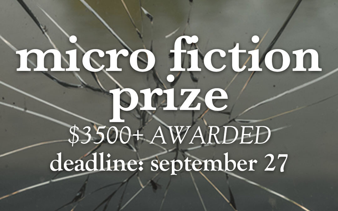 the 2020 fractured lit micro fiction prize shortlist