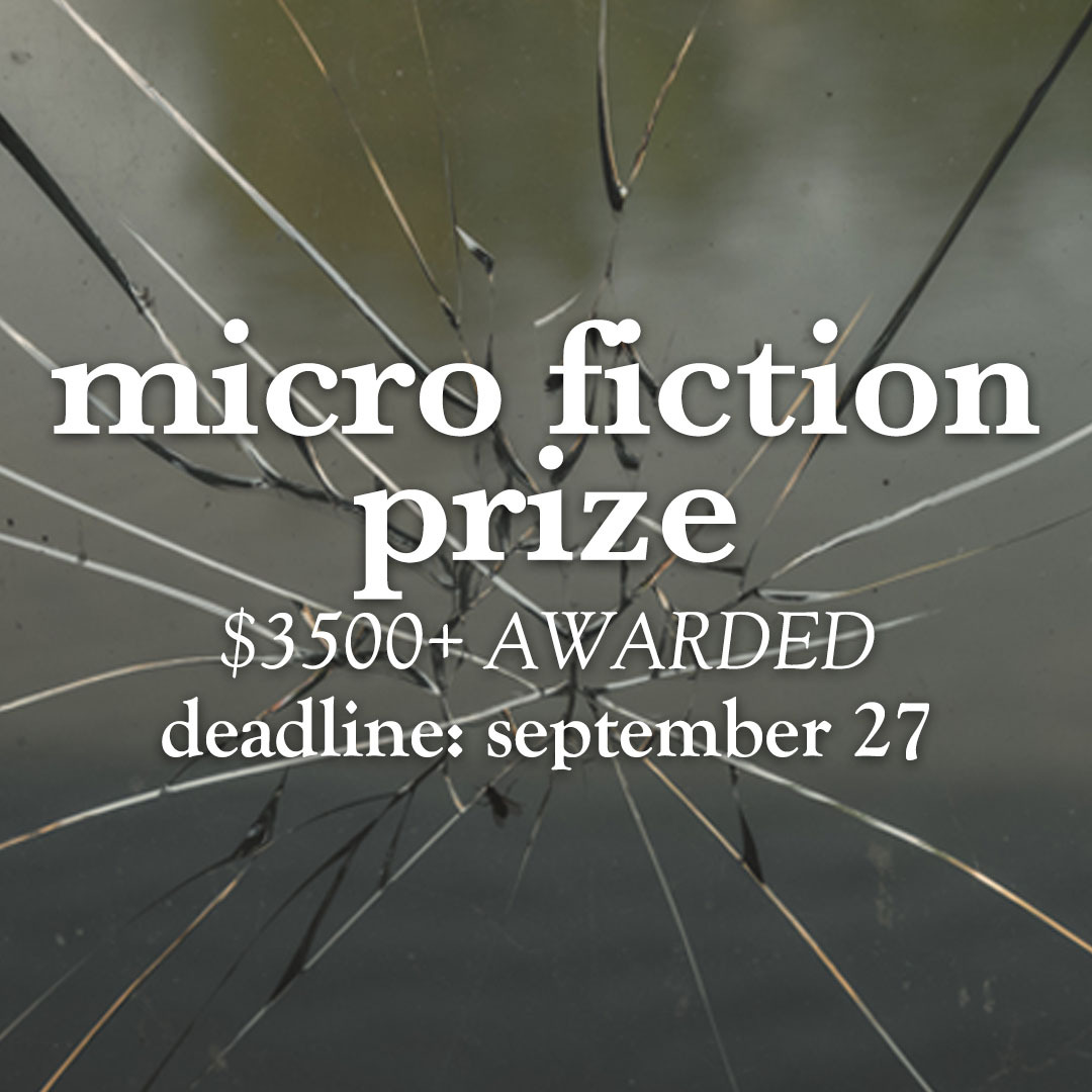 the 2020 fractured lit micro fiction prize shortlist