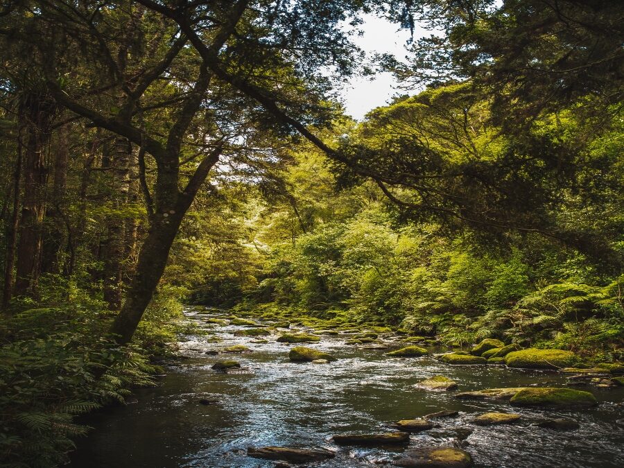 And Even Still the Rivers
