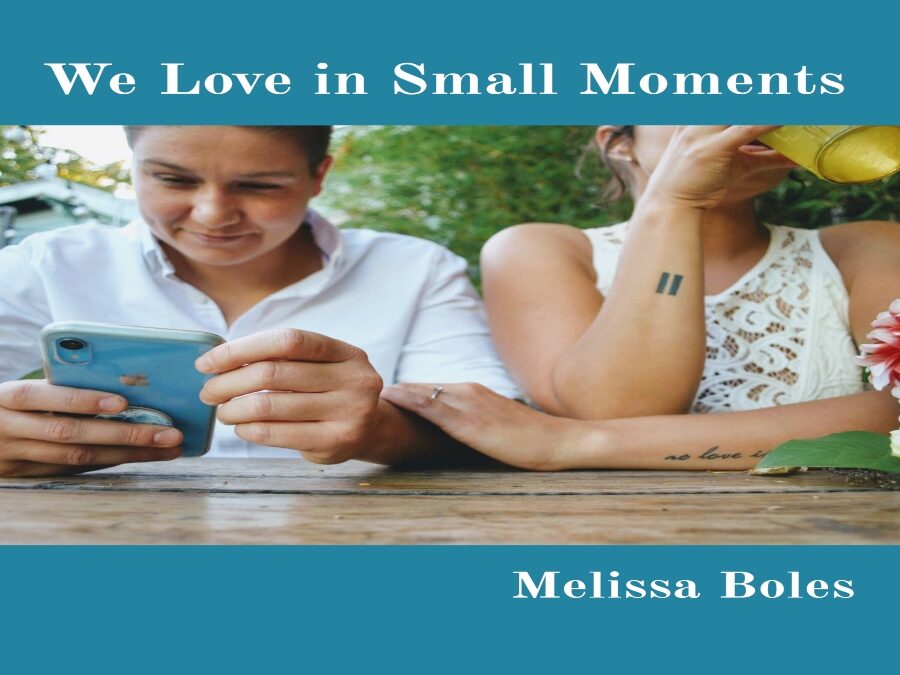 We Love in Small Moments: a Collection on Love Review