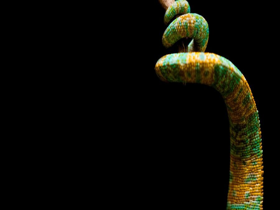 Before She Knew Her Body Was the River