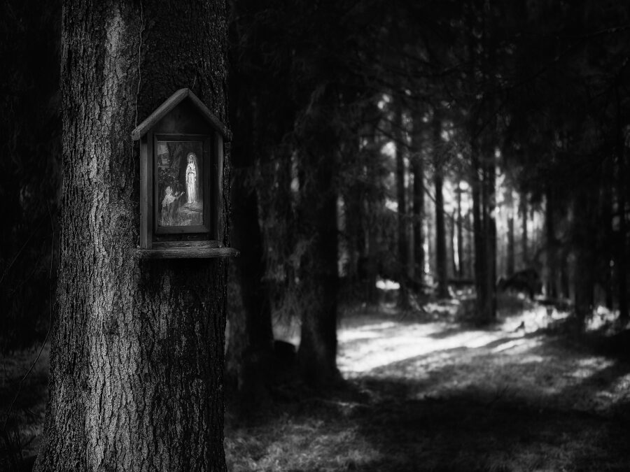 By the Gleam of Her Teeth, She Will Light the Path Before Her