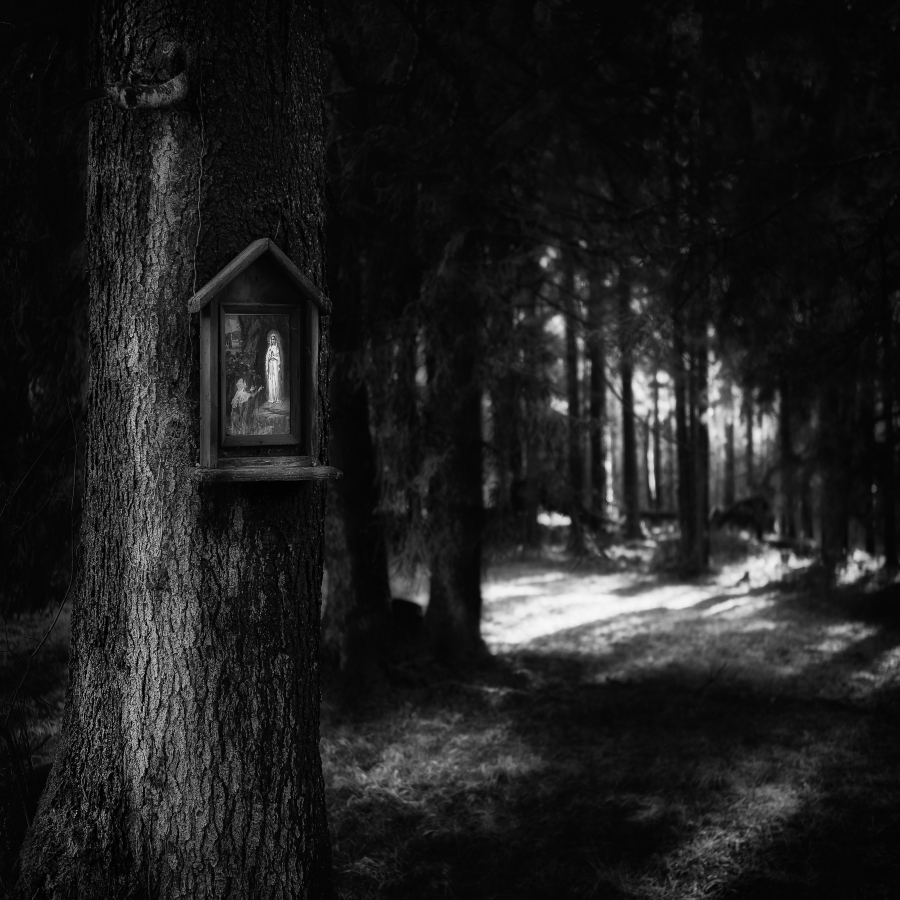 By the Gleam of Her Teeth, She Will Light the Path Before Her