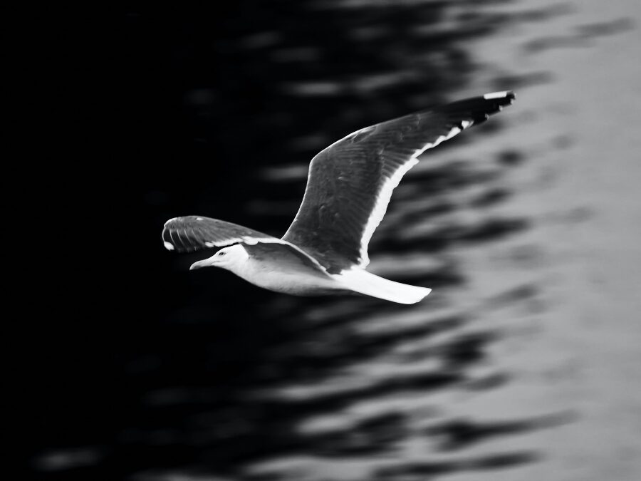 Account For What You Have