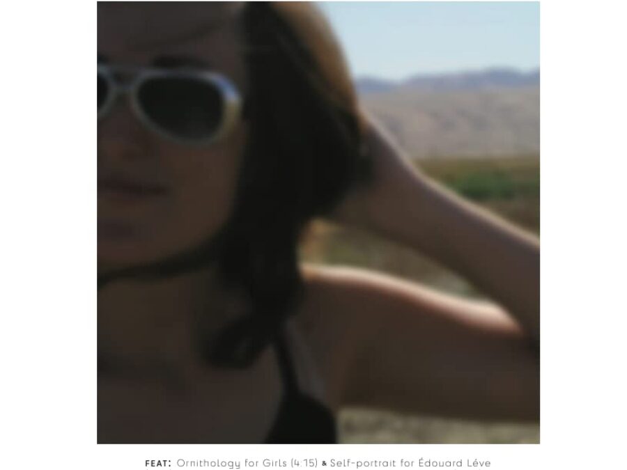 Omission Serves a Purpose: An Interview with Tara Stillions Whitehead