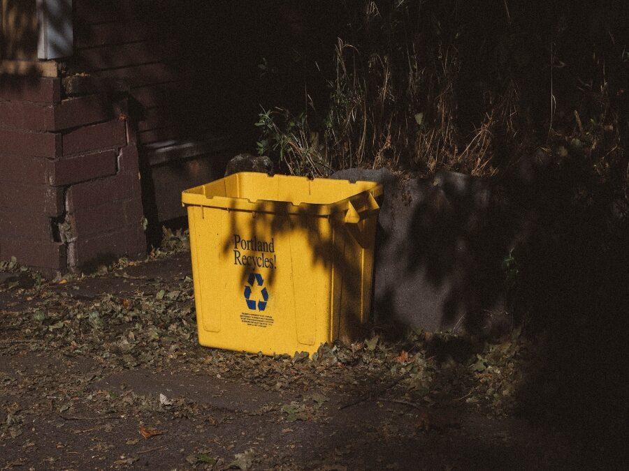 How to Take Care (of the Environment)