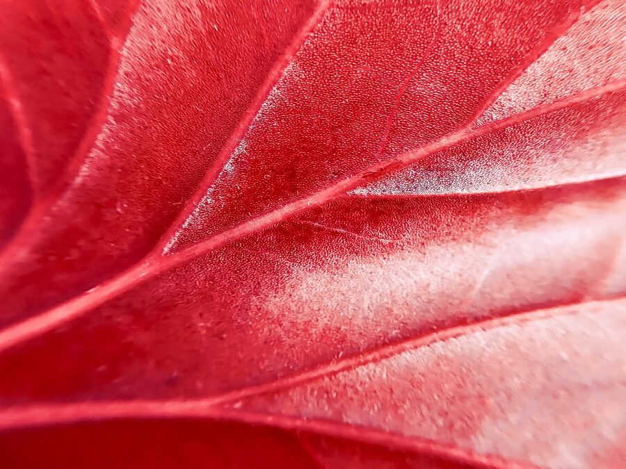 How to Embed your Legacy