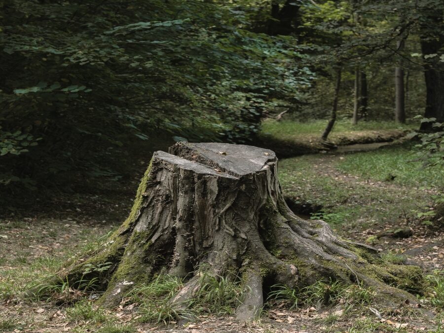 My Brother, Named and Unnamed