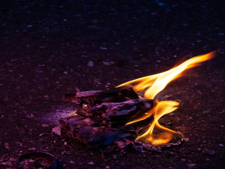 The Pigeon-Pea Princess of Sanganakallu