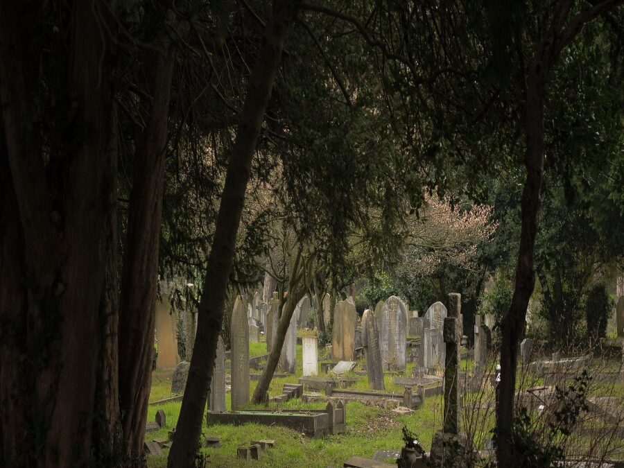 Everything So Different and the Same