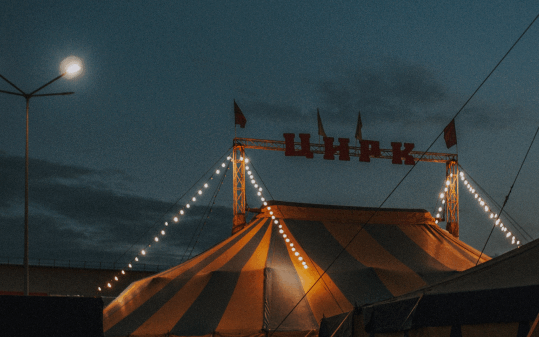 The circus without white horses or elephants