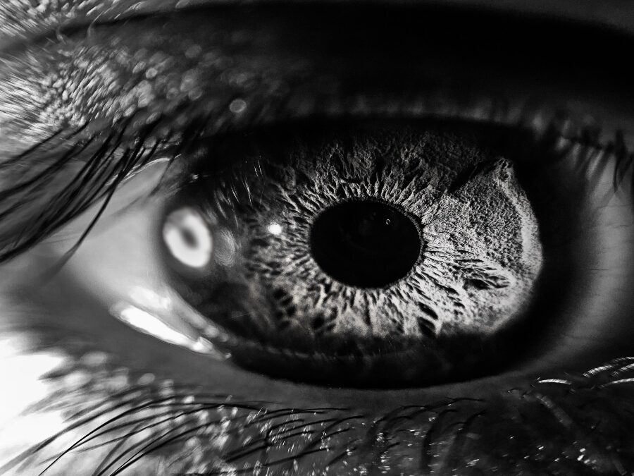 The Mass Blinding of Sclera, Wyoming