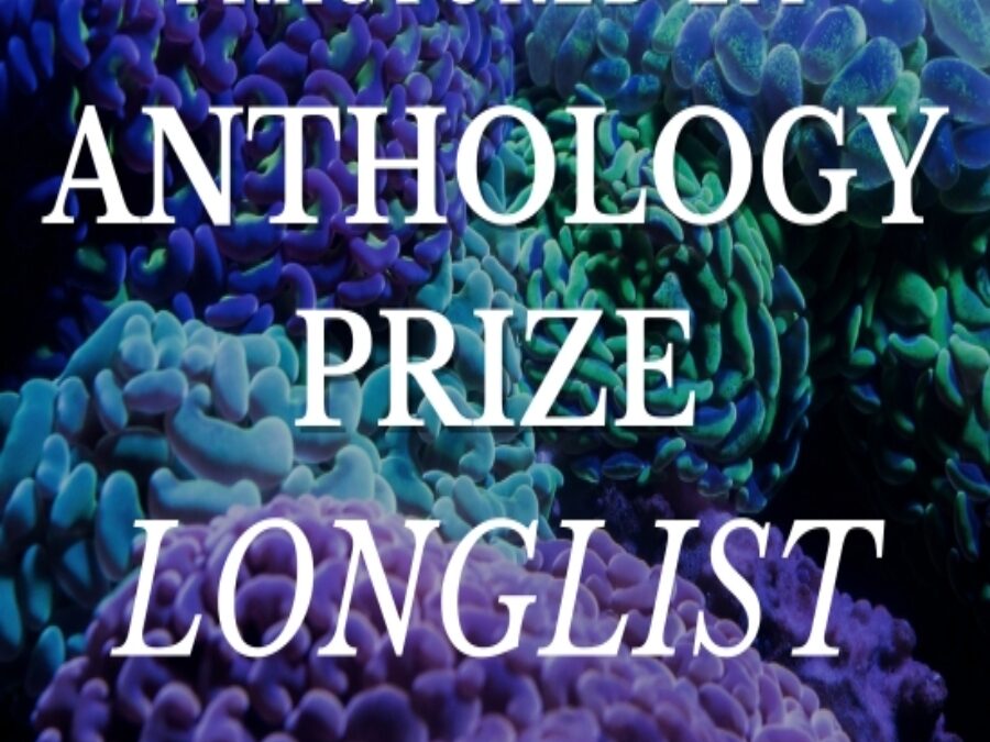 Fractured Lit Anthology Volume 4 Longlist