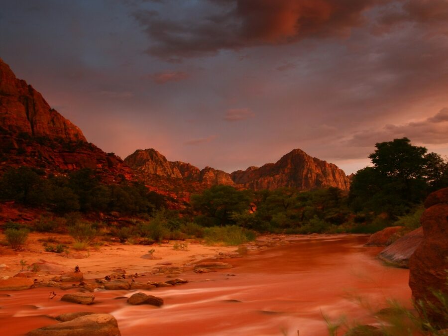 The Desert Sound