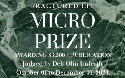 fractured lit 2024 micro prize