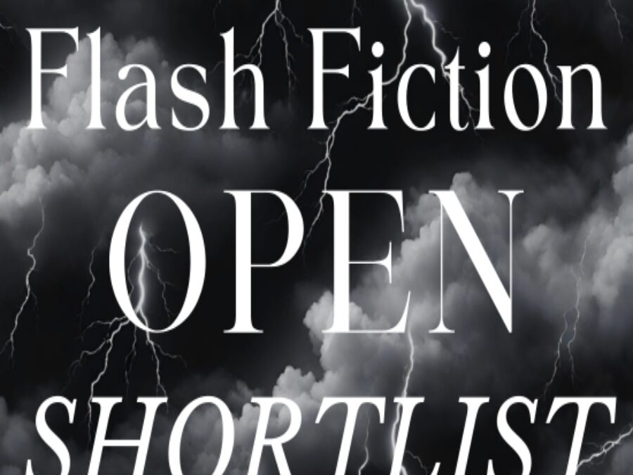 Fractured Lit Flash Fiction OPEN Judged by Maurice Carlos Ruffin Shortlist
