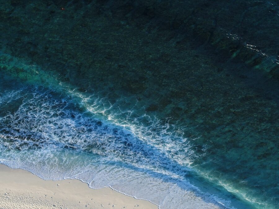 This is the spot where –