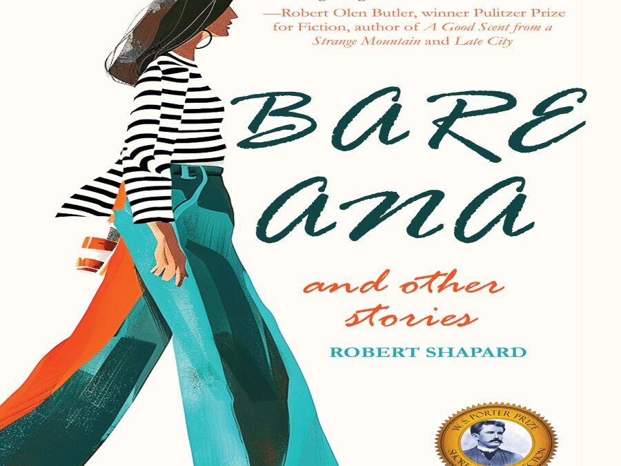 No More Needs to be Said: An Interview with Robert Shapard