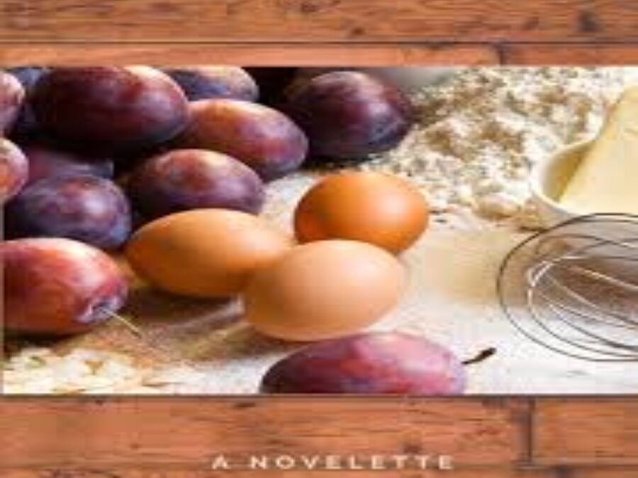 “Maya is considered an illusion”: A Conversation with Patricia Bidar on Wild Plums
