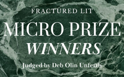 2024 Micro Prize Winners and Shortlist