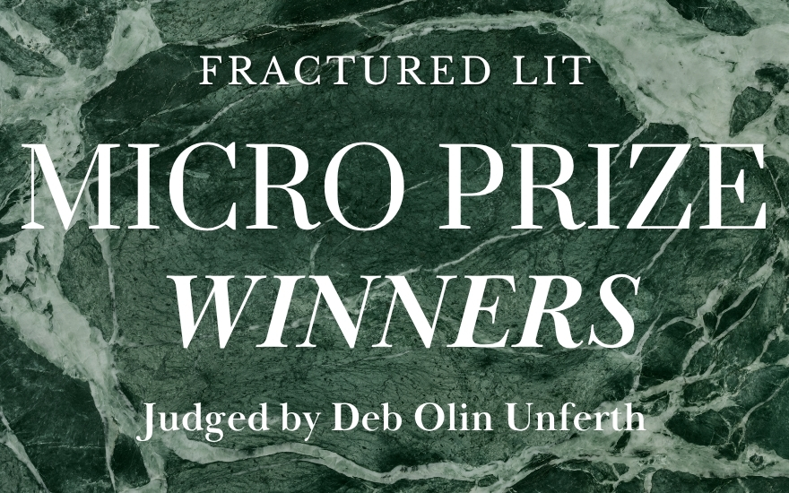 2024 Micro Prize Winners and Shortlist