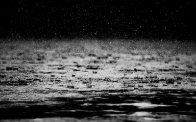 One Night, the Moon Starts Crying