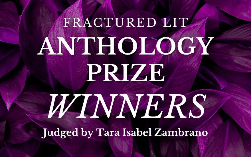 Anthology 5 Winners and Shortlist