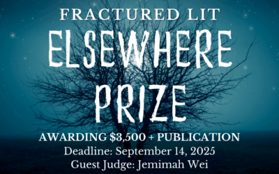 2025 elsewhere prize: July 17 to September 14, 2025