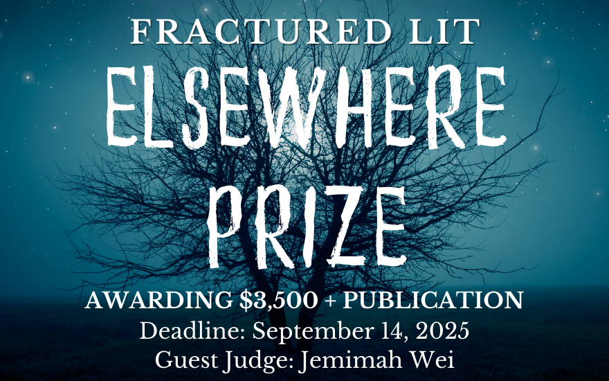 2025 elsewhere prize: July 17 to September 14, 2025