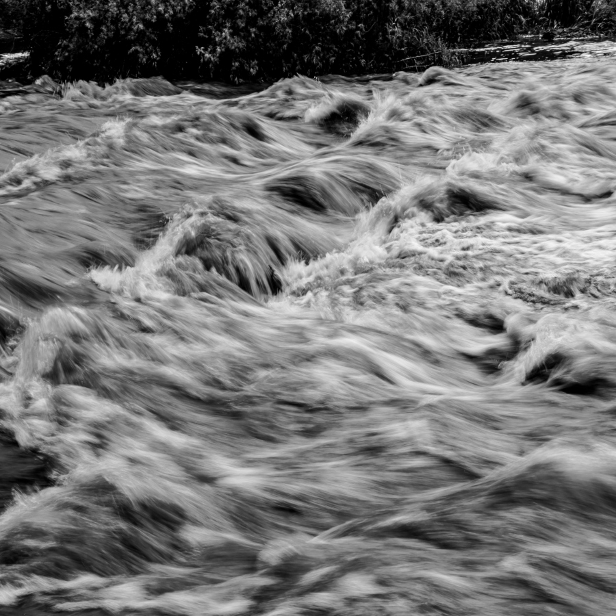 What the Water Took