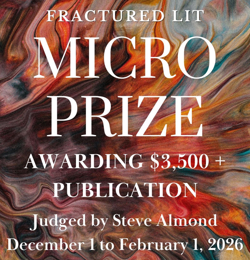 FR_MicroPrize_2025_800x830