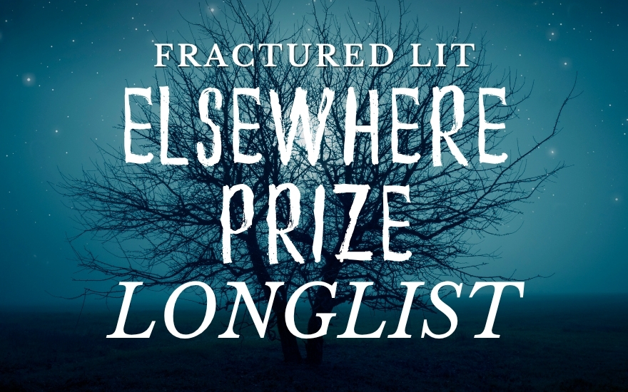 FR_ElsewherePrize25_LONGLIST