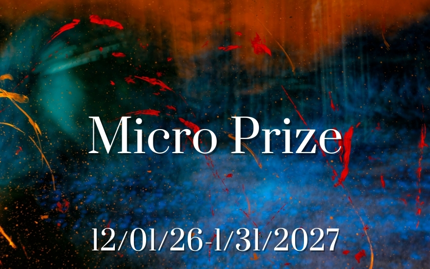 2026 Micro Prize: December 01, 2026 to January 31, 2027