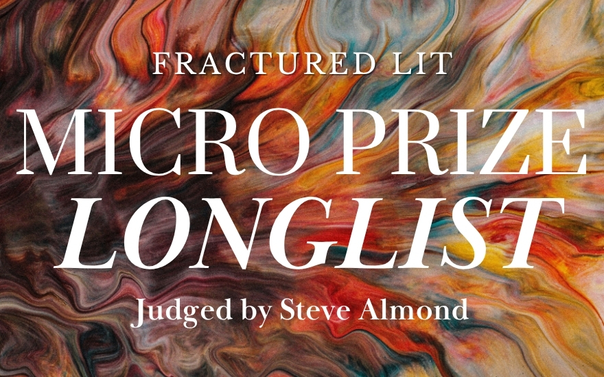 Micro Prize Judged by Steve Almond Longlist