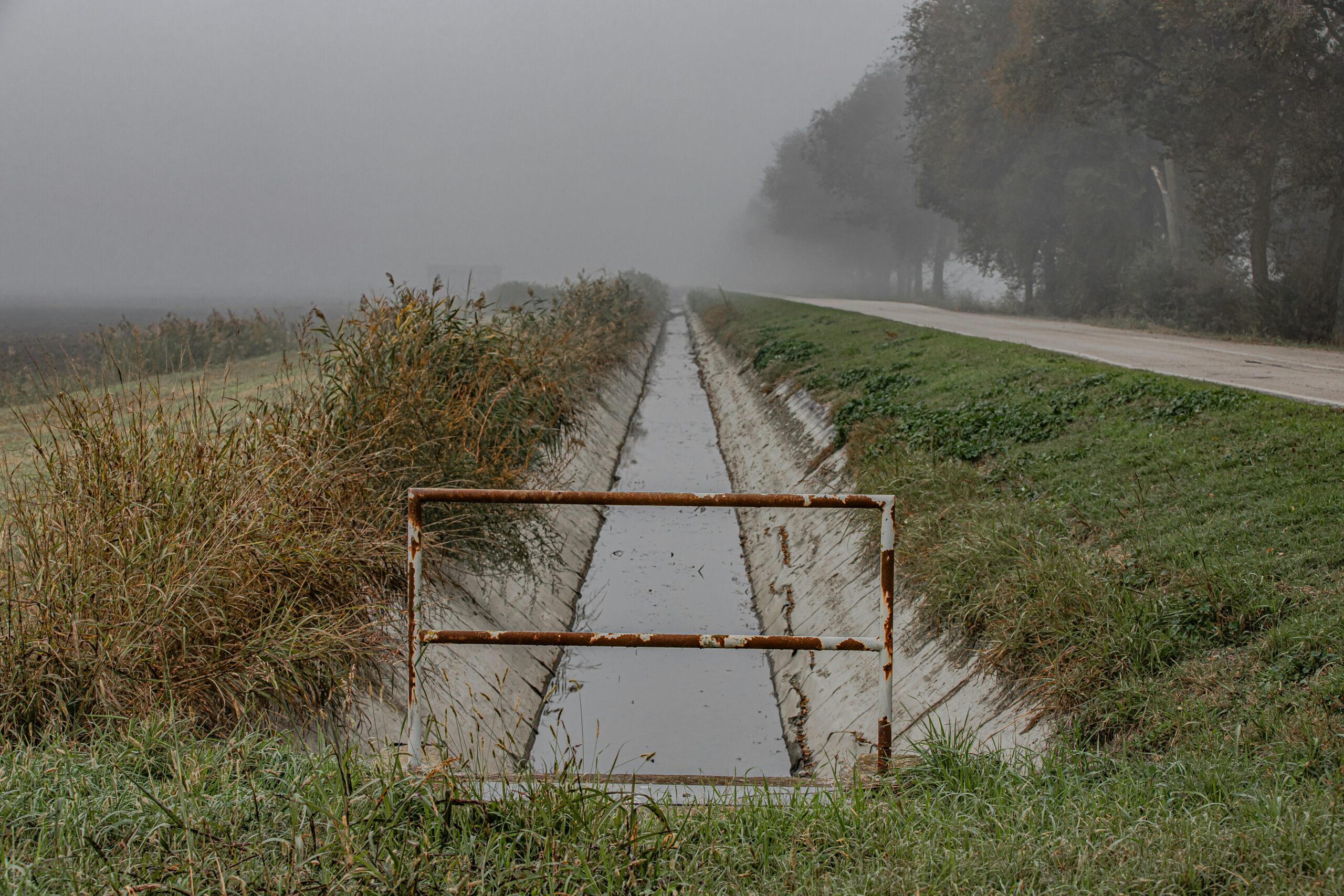 hakon-grimstad-MLEUUsrOX-k-unsplash (1)