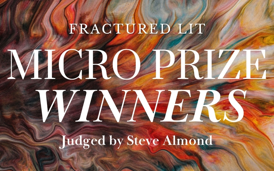 Micro Prize Judged by Steve Almond Winners