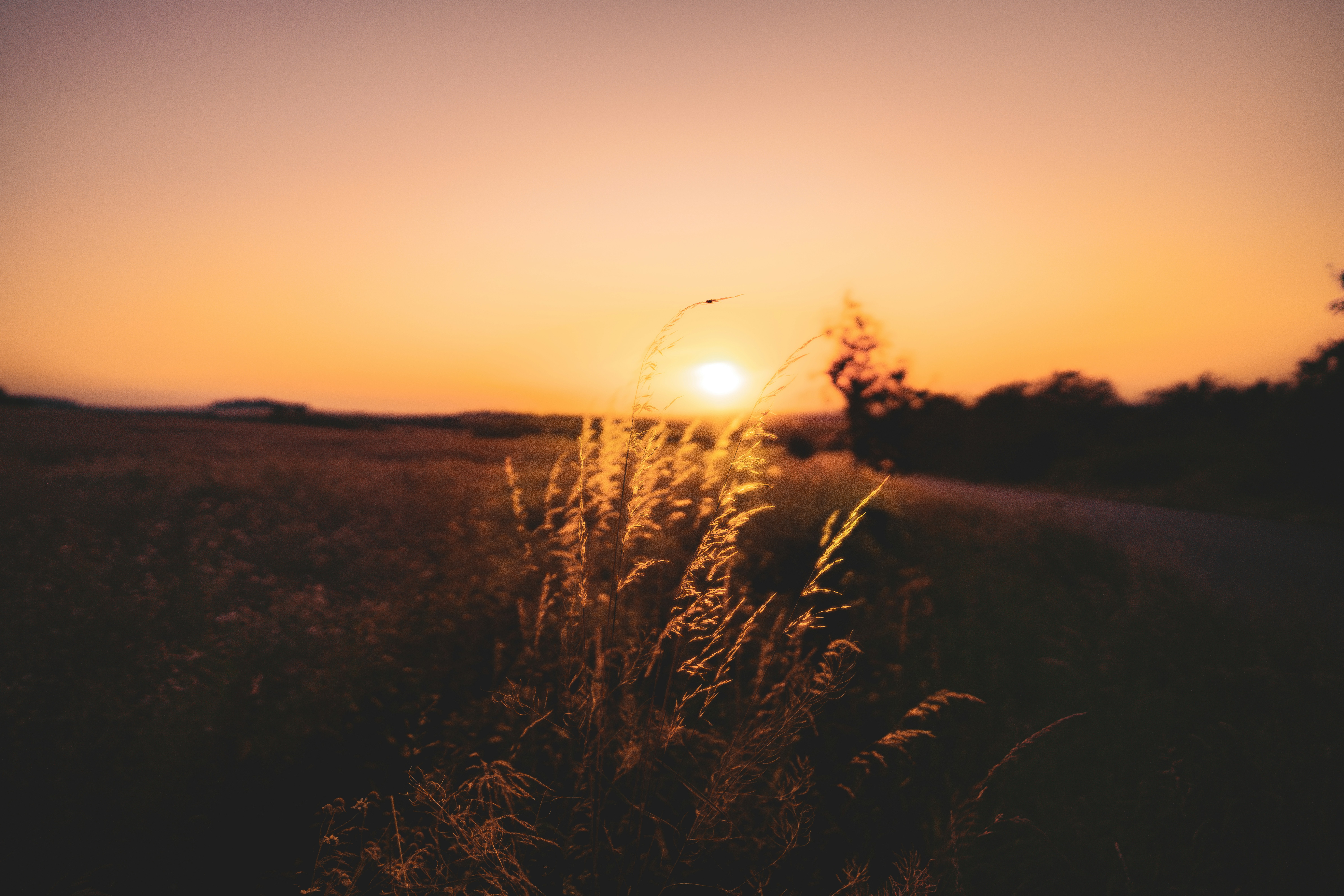 ondrej-e-s-kormos-0tIn3lbm7uk-unsplash (1)
