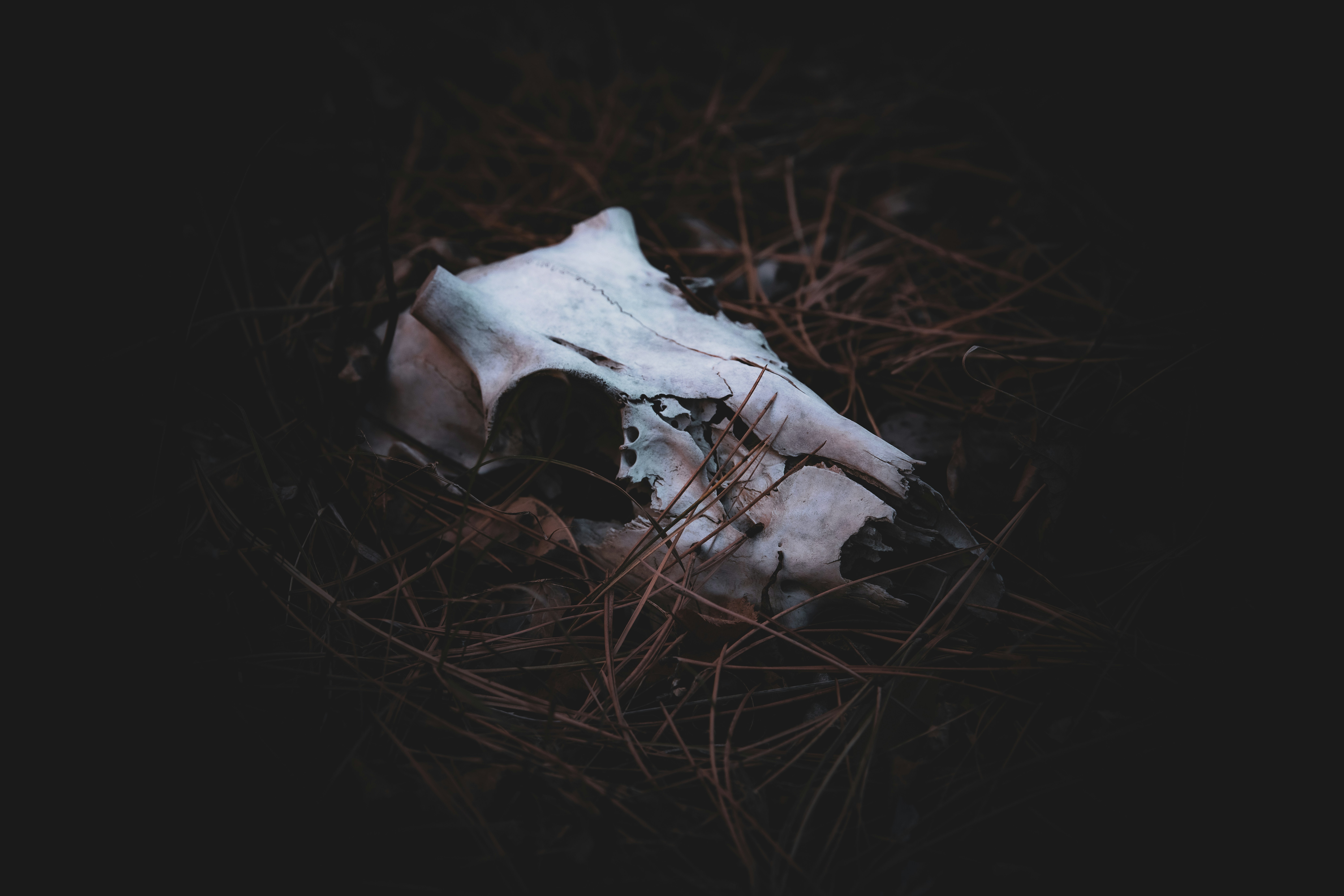 Nice Things to Leave at A Grave