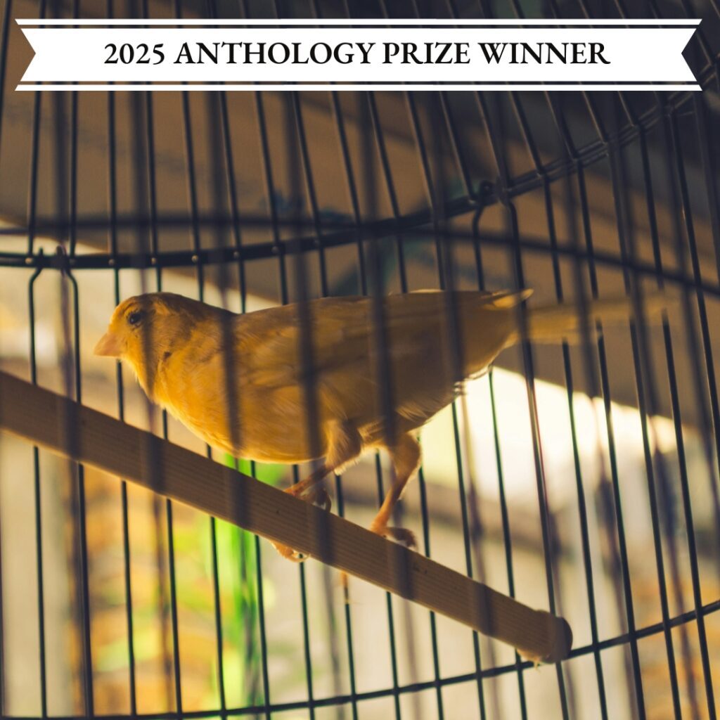 07_24NestGenevieveEichammerAntho5Winner 07_24NestGenevieveEichammerAntho5Winner