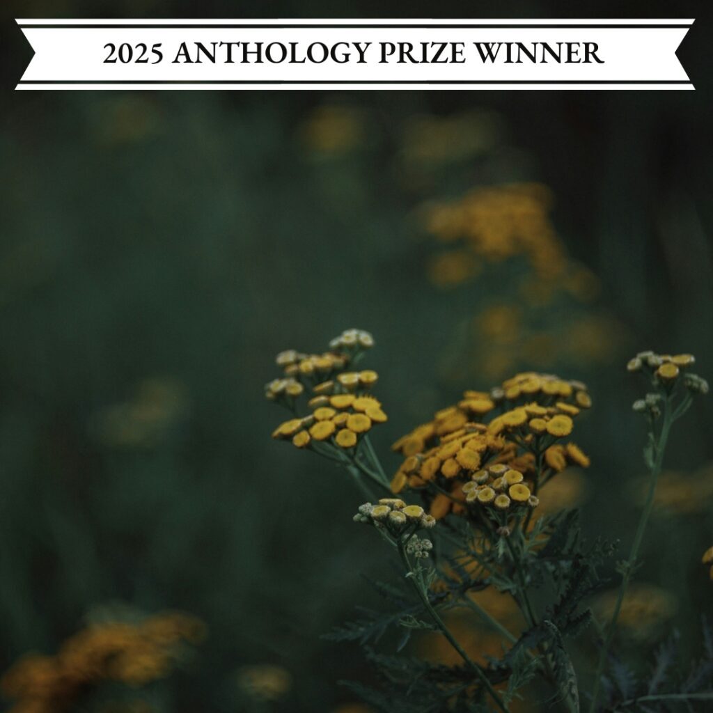 07_28BlossomingClaireGallagherAntho5Winner 07_28BlossomingClaireGallagherAntho5Winner