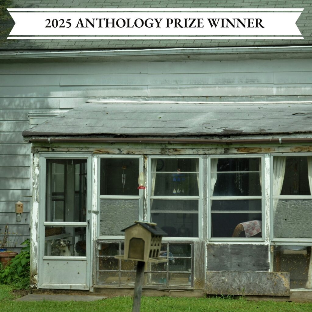07_31DogYearsDeborahHunterAntho5Winner 07_31DogYearsDeborahHunterAntho5Winner