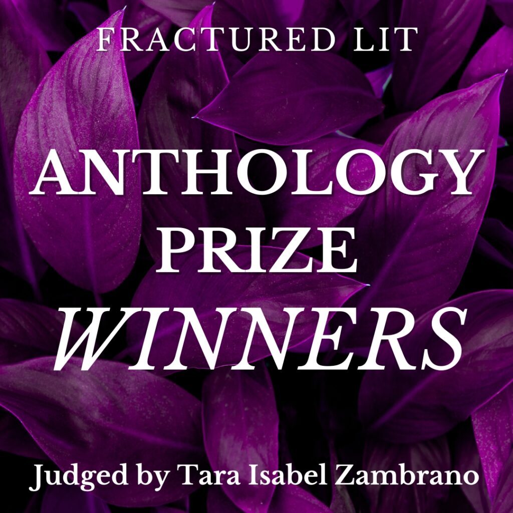 Anthology 5 winners