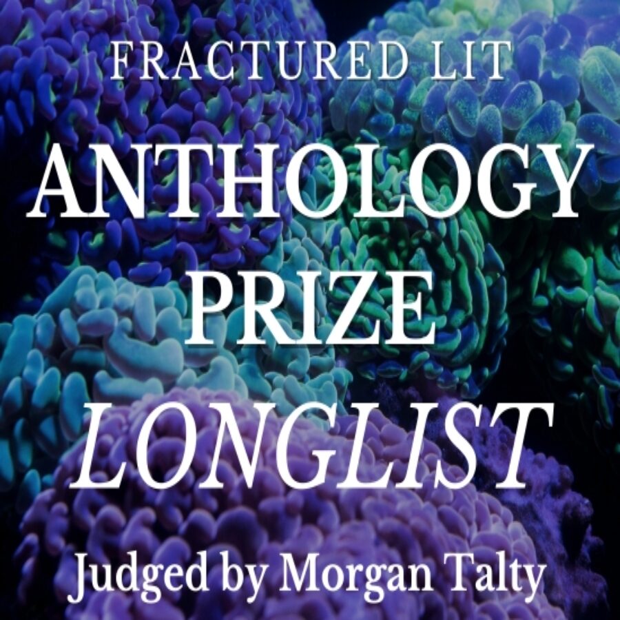 Fractured_Anthology4Prize_LONGLIST (1)