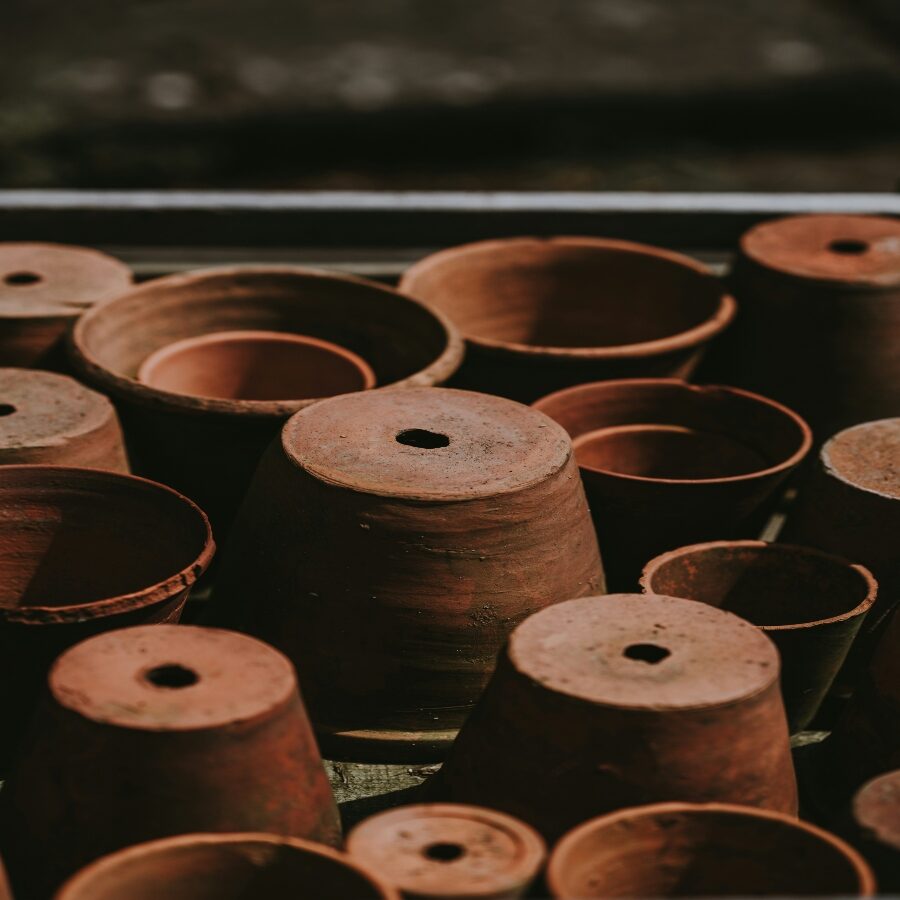 annie-spratt-OlUNA6dteb0-unsplash (1)