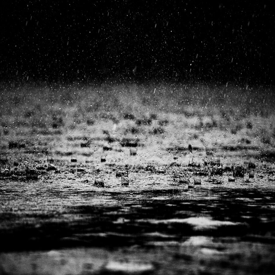 kankon-biswas-IwJ2buKRcuc-unsplash (1) kankon-biswas-IwJ2buKRcuc-unsplash (1)