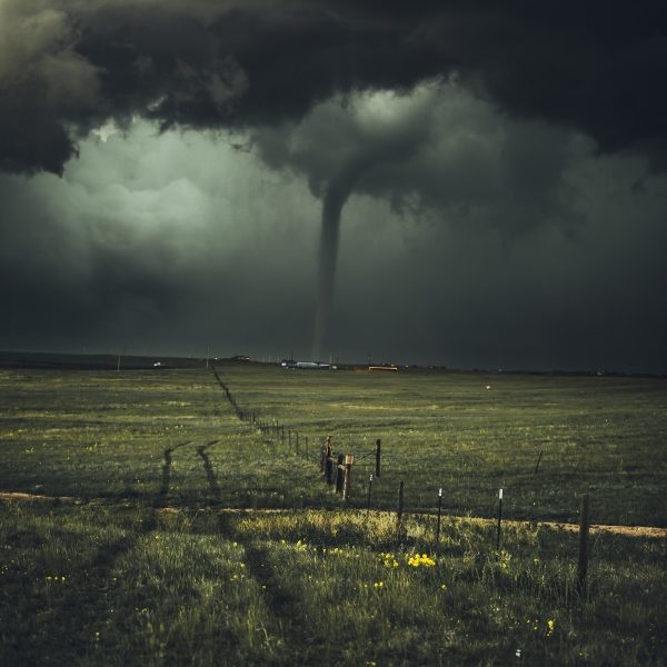 nikolas-noonan-fQM8cbGY6iQ-unsplash (600x900) nikolas-noonan-fQM8cbGY6iQ-unsplash (600x900)